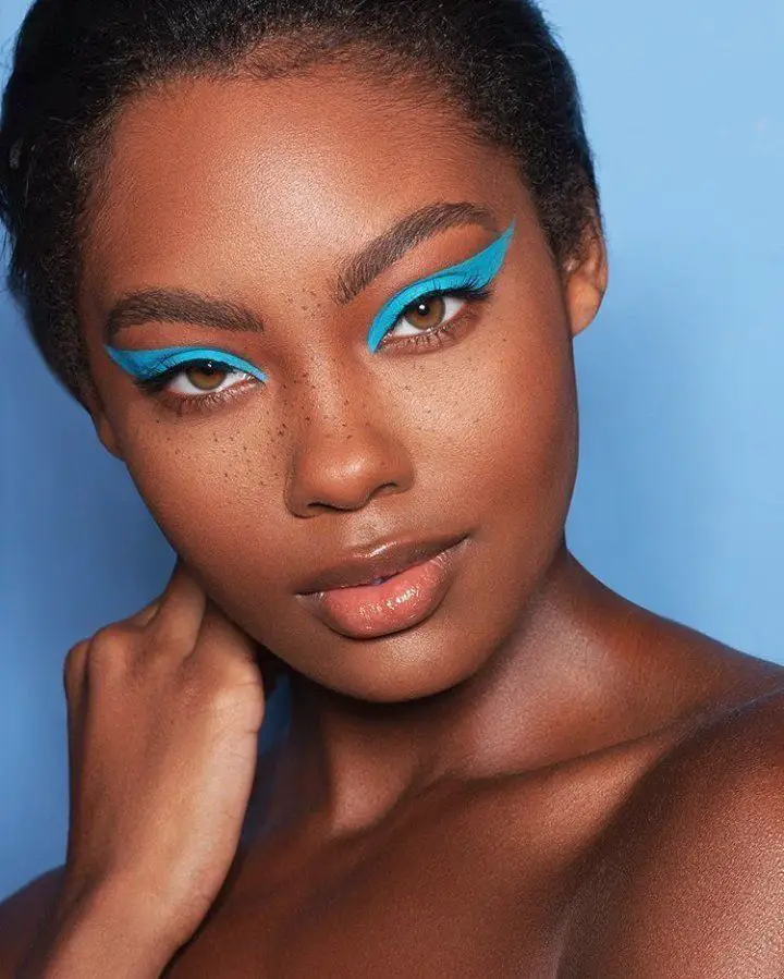 Dark Skin Eyeshadow 26 Ideas: Unleashing the Beauty of Deep Tones