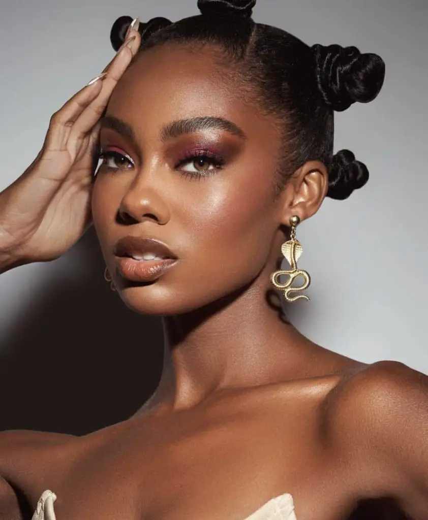 Dark Skin Eyeshadow 26 Ideas: Unleashing the Beauty of Deep Tones